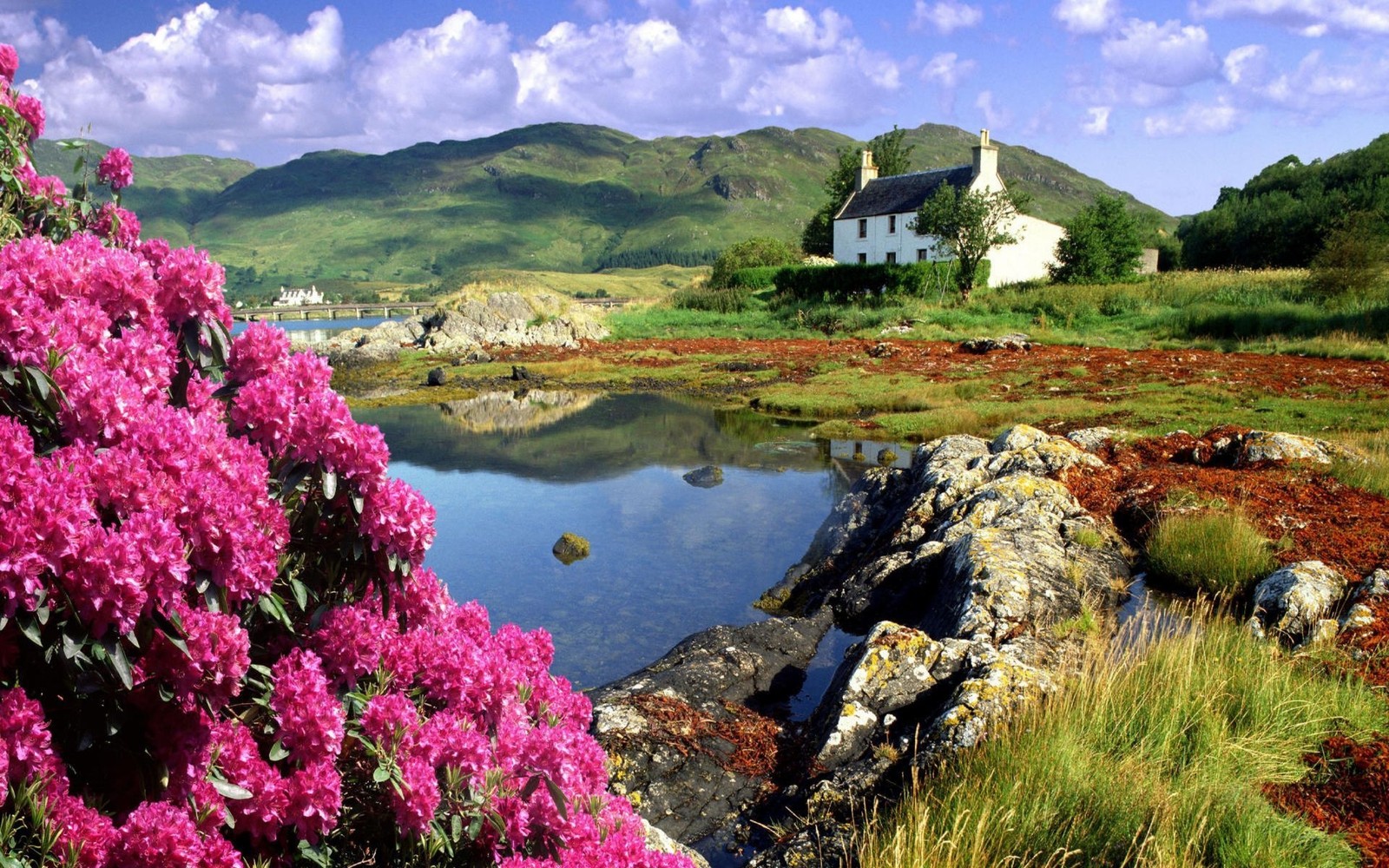 A close up of a house near a body of water with a mountain in the background (nature, vegetation, flower, plant, spring)