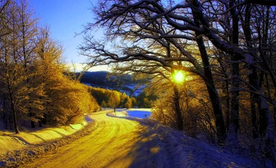 Sonniger Winterweg bei Sonnenaufgang durch schneebedeckte Bäume