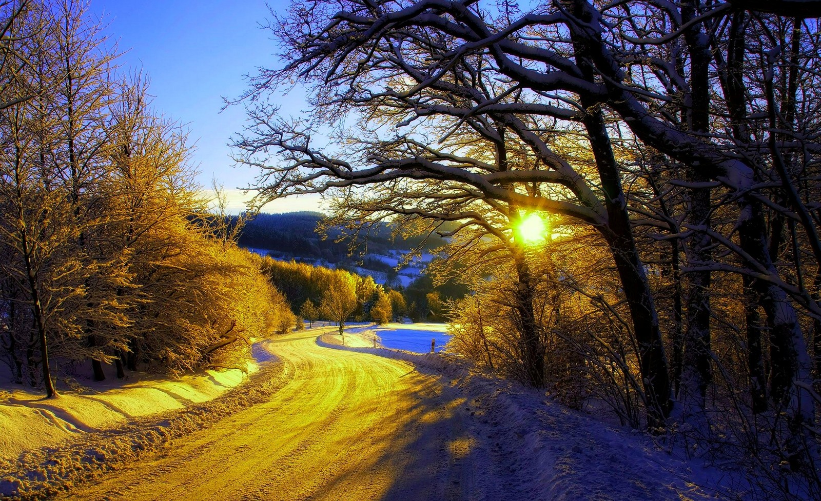 Un camino de tierra con árboles y nieve a los lados (invierno, nieve, atardecer, mañana, naturaleza)