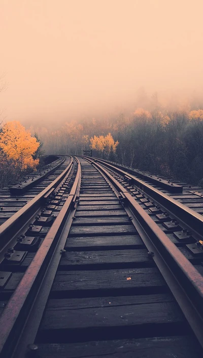 Voies de train rustiques à travers un paysage automnal brumeux