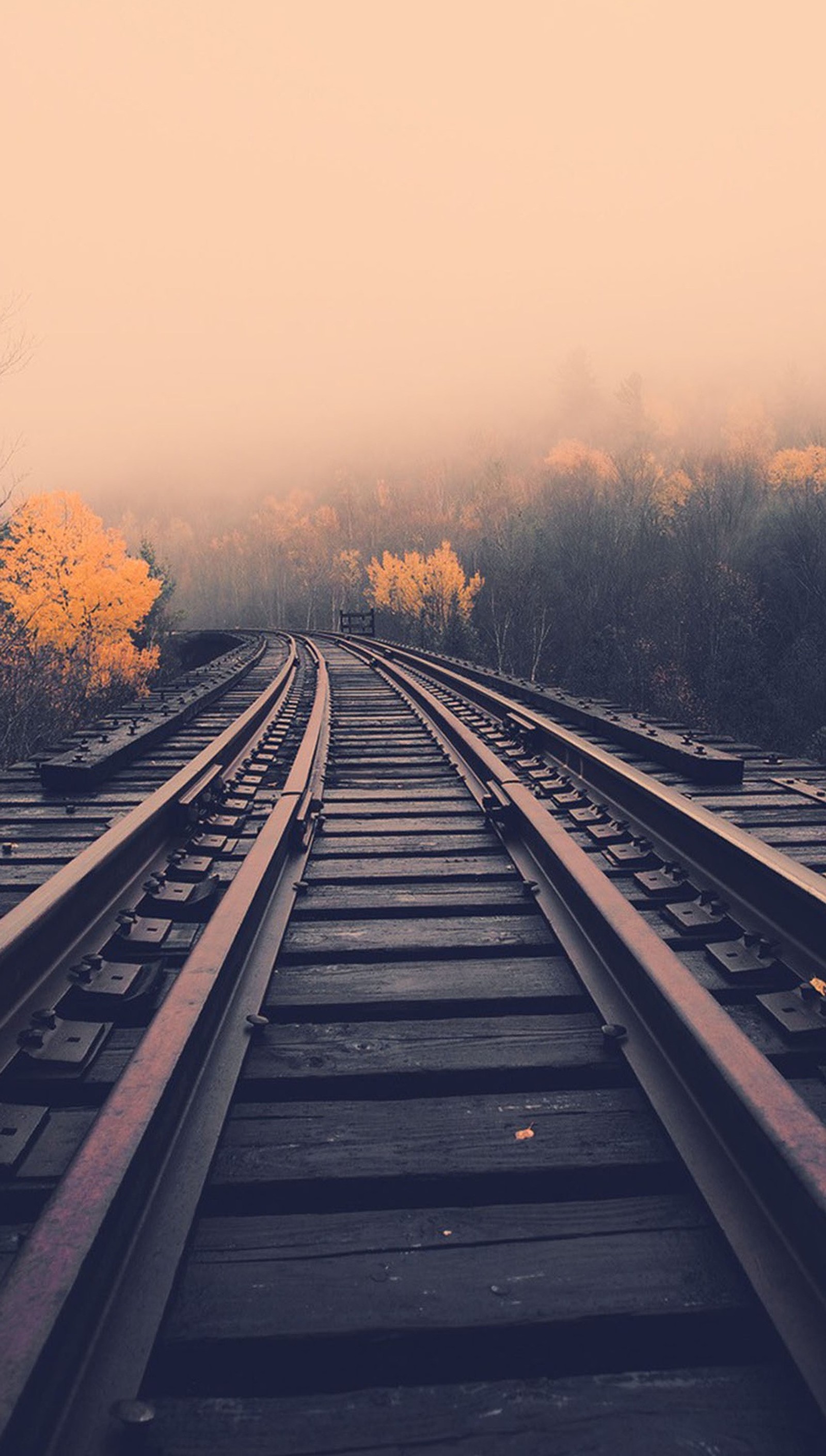 Hay una vía de tren que pasa por el bosque (marrón, genial, naturaleza, tren)