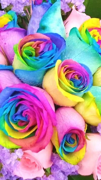 pretty, rainbow, rose