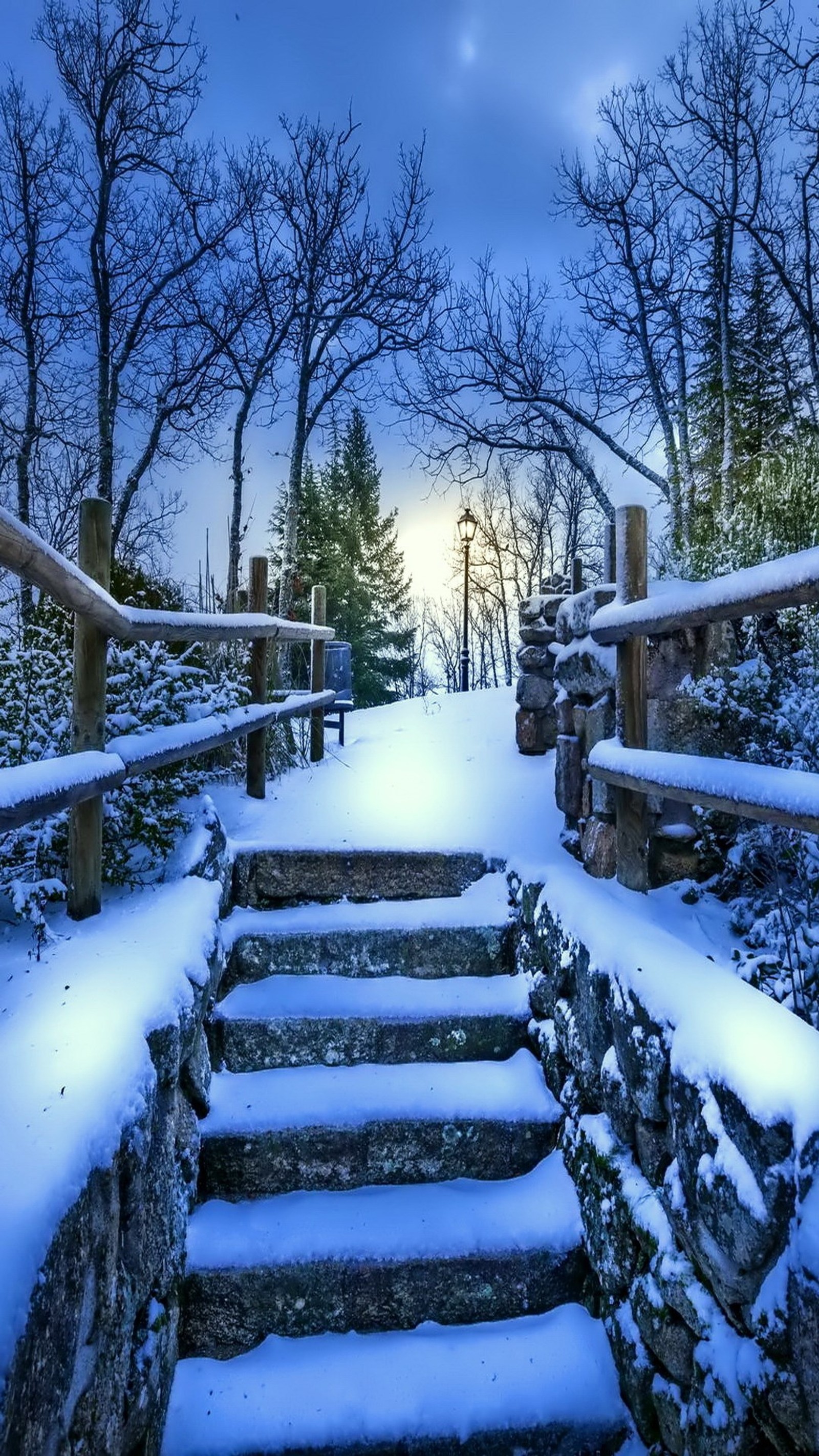 Arafed stone steps lead up to a snowy path in a forest (2014, beautiful, cool, hd, nature)