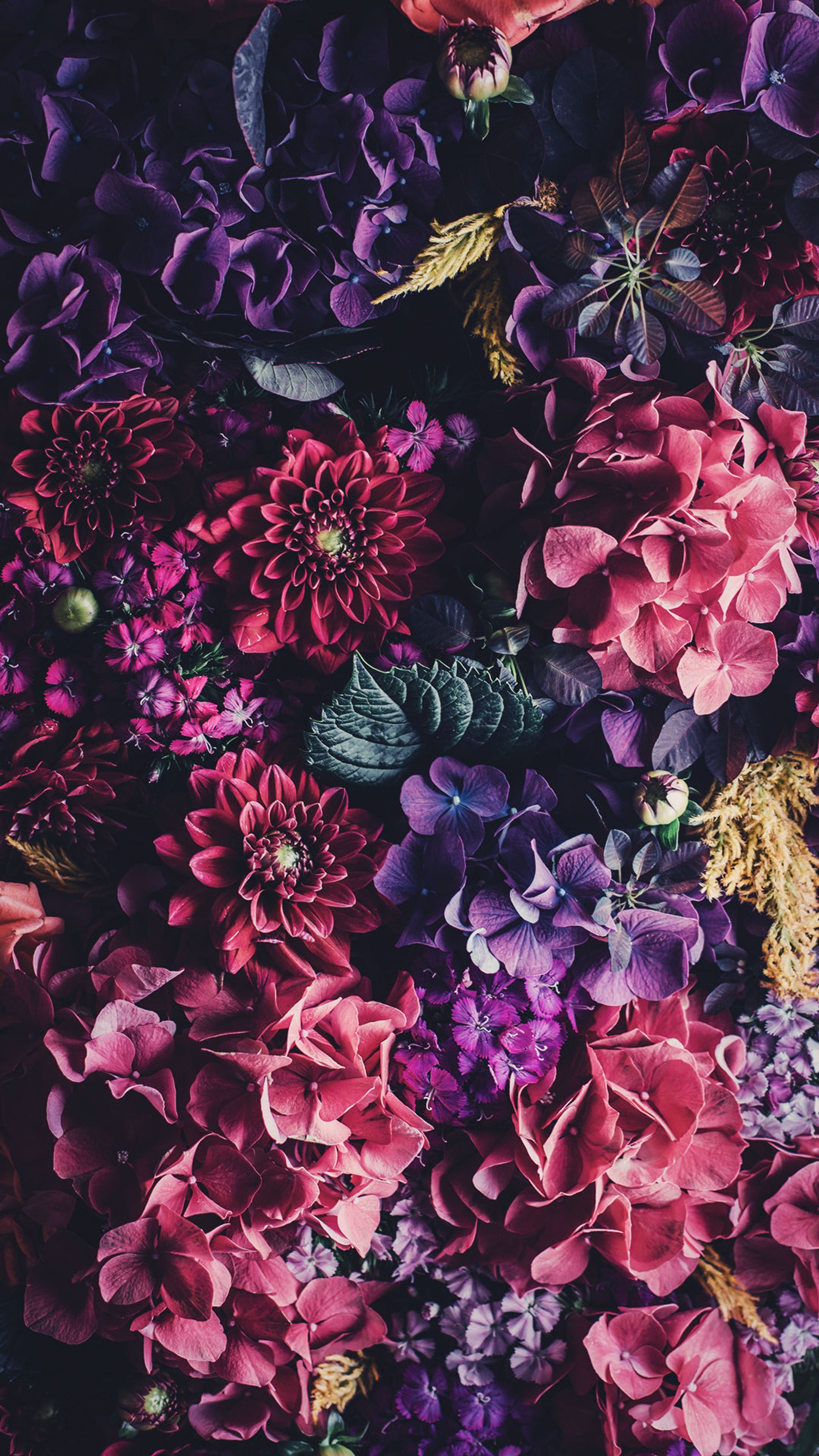 Des fleurs violettes et rouges sont disposées en un grand tas (fleurs, rose, roses)