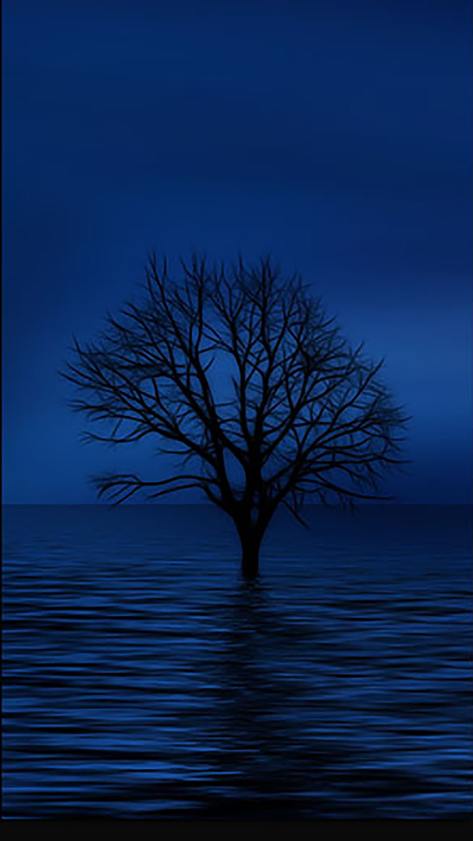 Un árbol solitario en medio de un cuerpo de agua (azul, mundo)