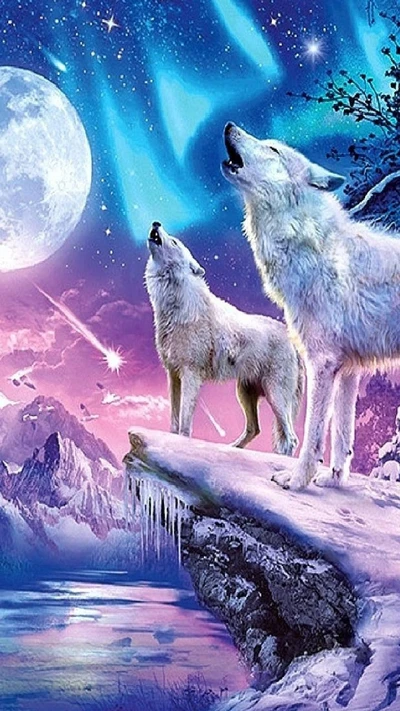 animal, luna, naturaleza, lobo, lobos