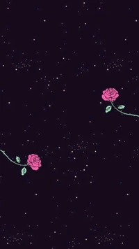 rosas, céu, estrelas