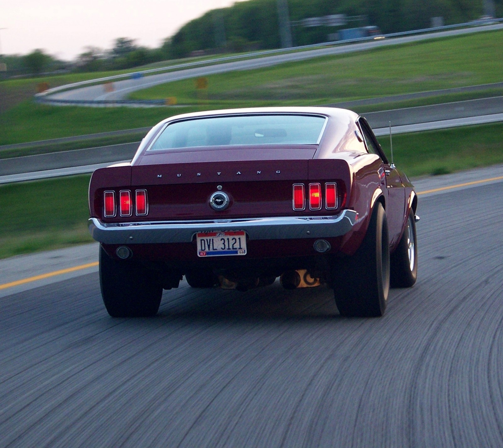 Ford mustang, der eine straße entlangfährt, mit einem hund am straßenrand (auto, fahrzeuge)