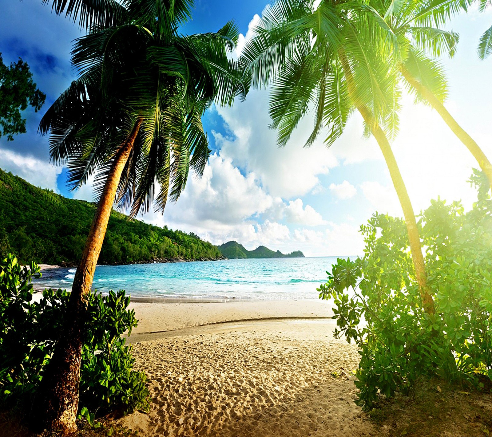 A view of a beach with palm trees and a boat in the water (beach, tropical)