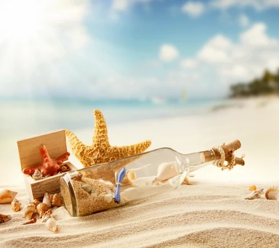 Seashells and Starfish on a Sunlit Beach