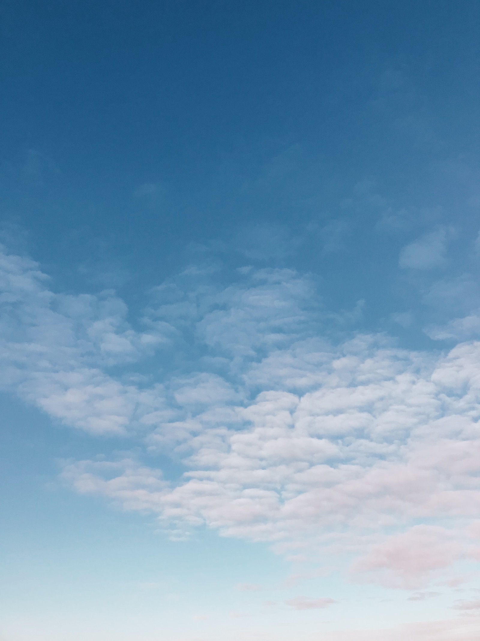 Un homme se tient sur la plage avec une planche de surf (beauté, bleu, nuages, hd, nature)