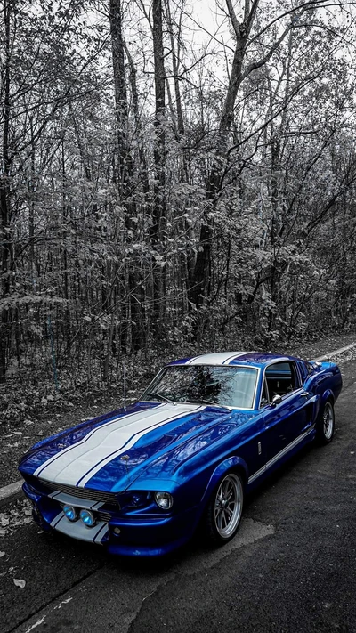 Ford Mustang Shelby Gran bleu dans un cadre forestier serein.