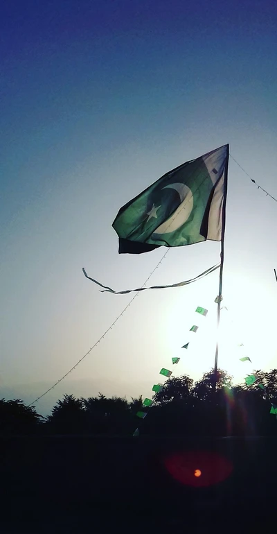 drapeau, vert, pakistan