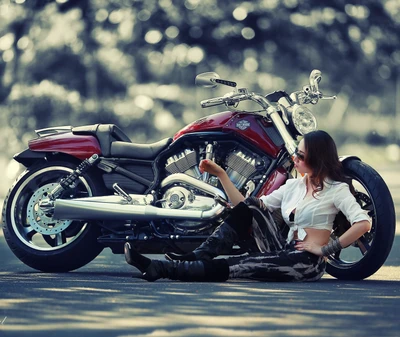 harley davidson, moto