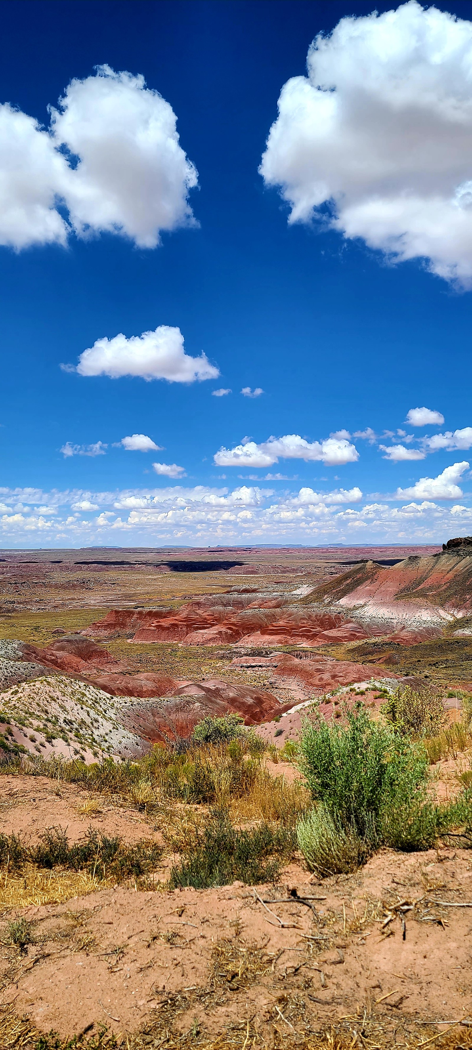 Um campo com uma estrada de terra e um céu azul (20, arizona, nuvens, deserto, natureza)