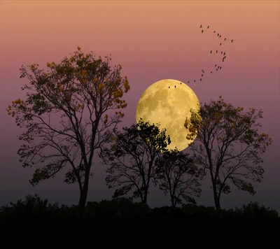 Haunting Silhouettes: Birds in Flight Against a Moonlit Halloween Sky