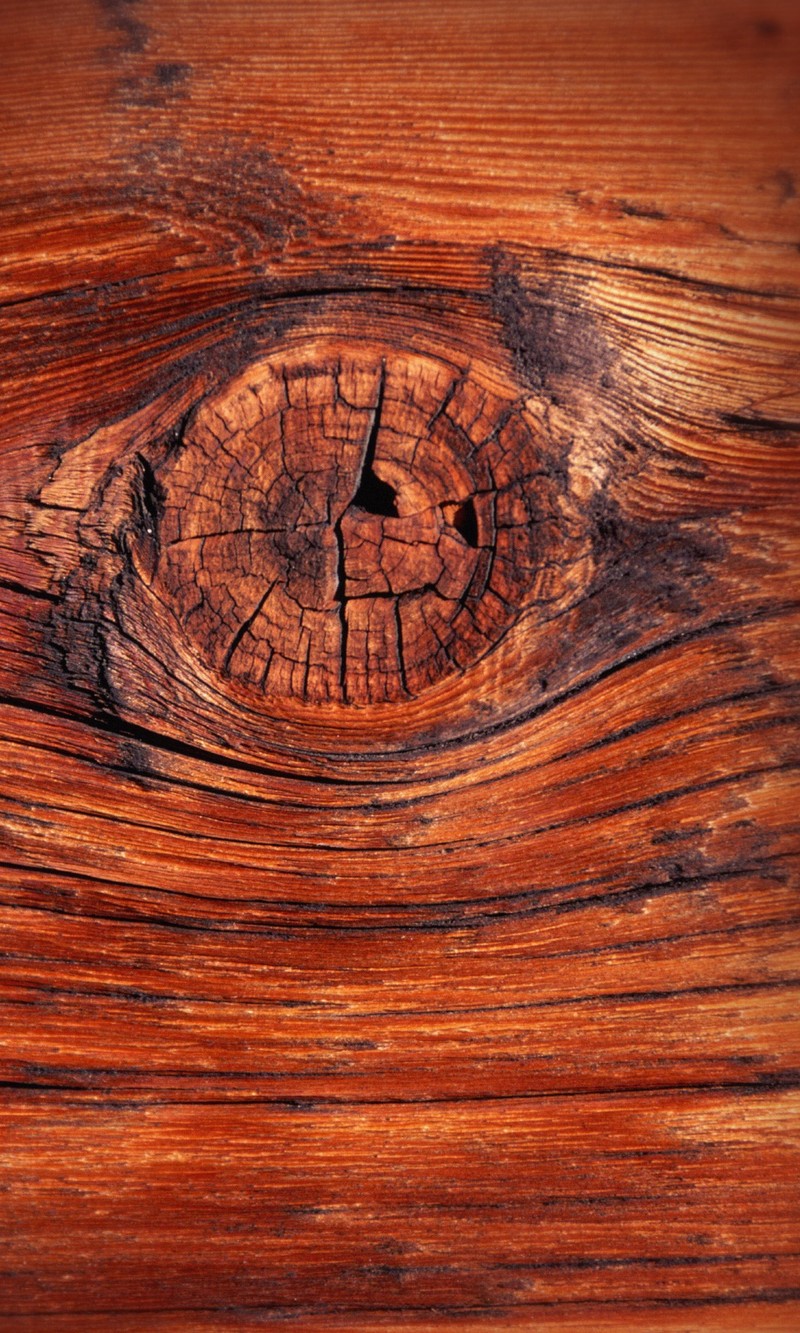 A close up of a wooden table with a hole in it (brown, tree, wooden, woody)