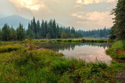 Reflexión serena en la naturaleza de Denali: un lago tranquilo rodeado de vegetación exuberante y majestuosas montañas.