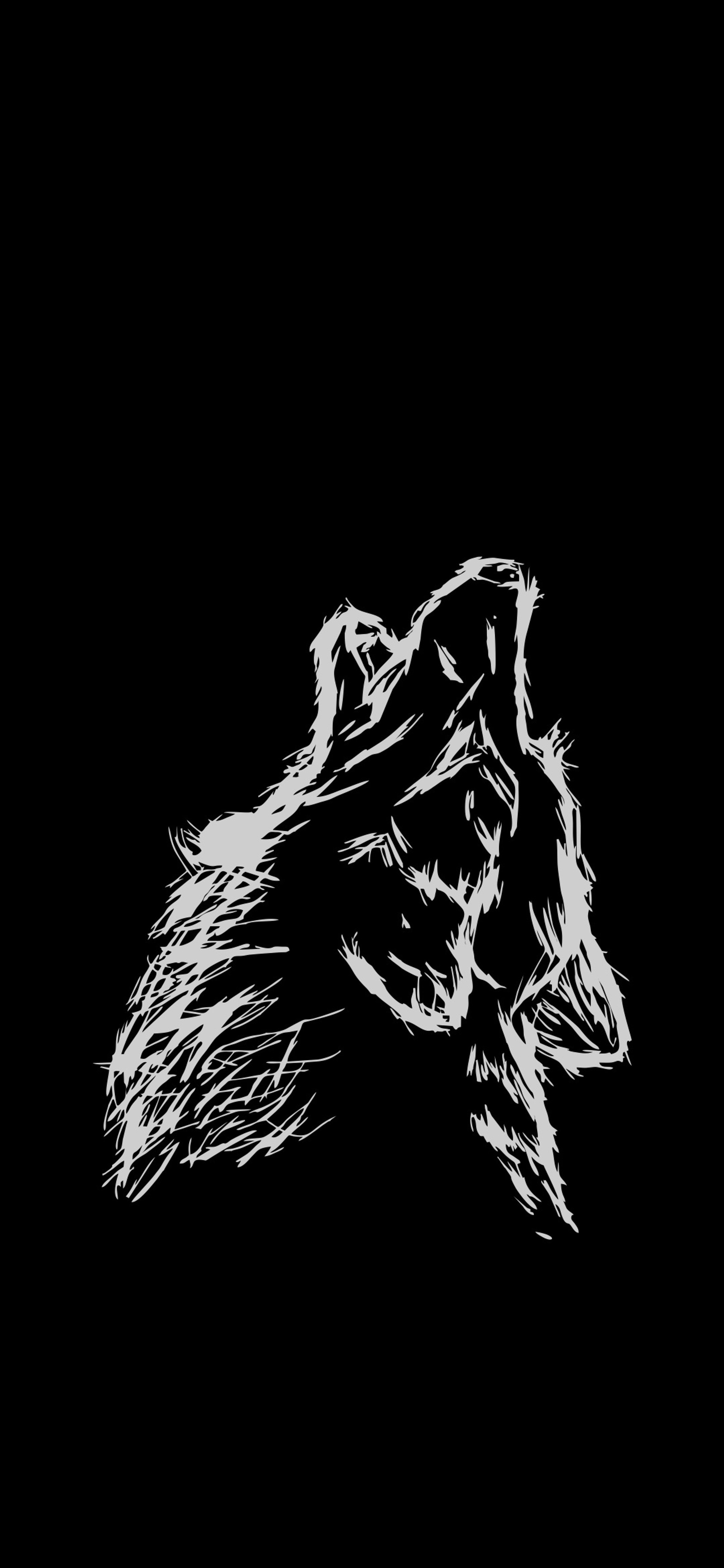 A close up of a drawing of a dog with a black background (black and white, visual arts, graphics, jaw, felidae)