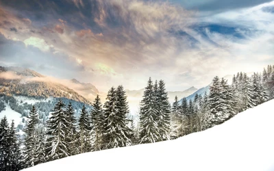 A montanha Eggli coberta de neve nos Alpes Suíços, emoldurada por céus nebulosos e árvores alpinas, cria uma paisagem de inverno serena.