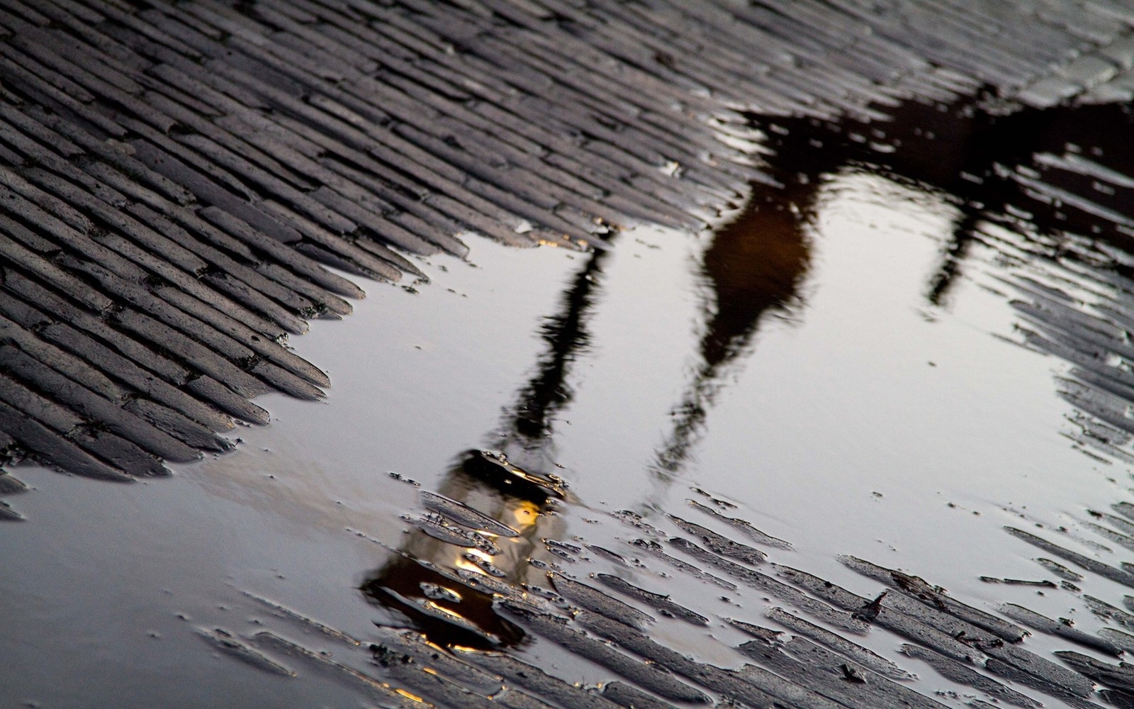 Há uma pessoa andando em uma calçada molhada com um guarda-chuva (chuva, calçada, água, reflexo, recursos hídricos)