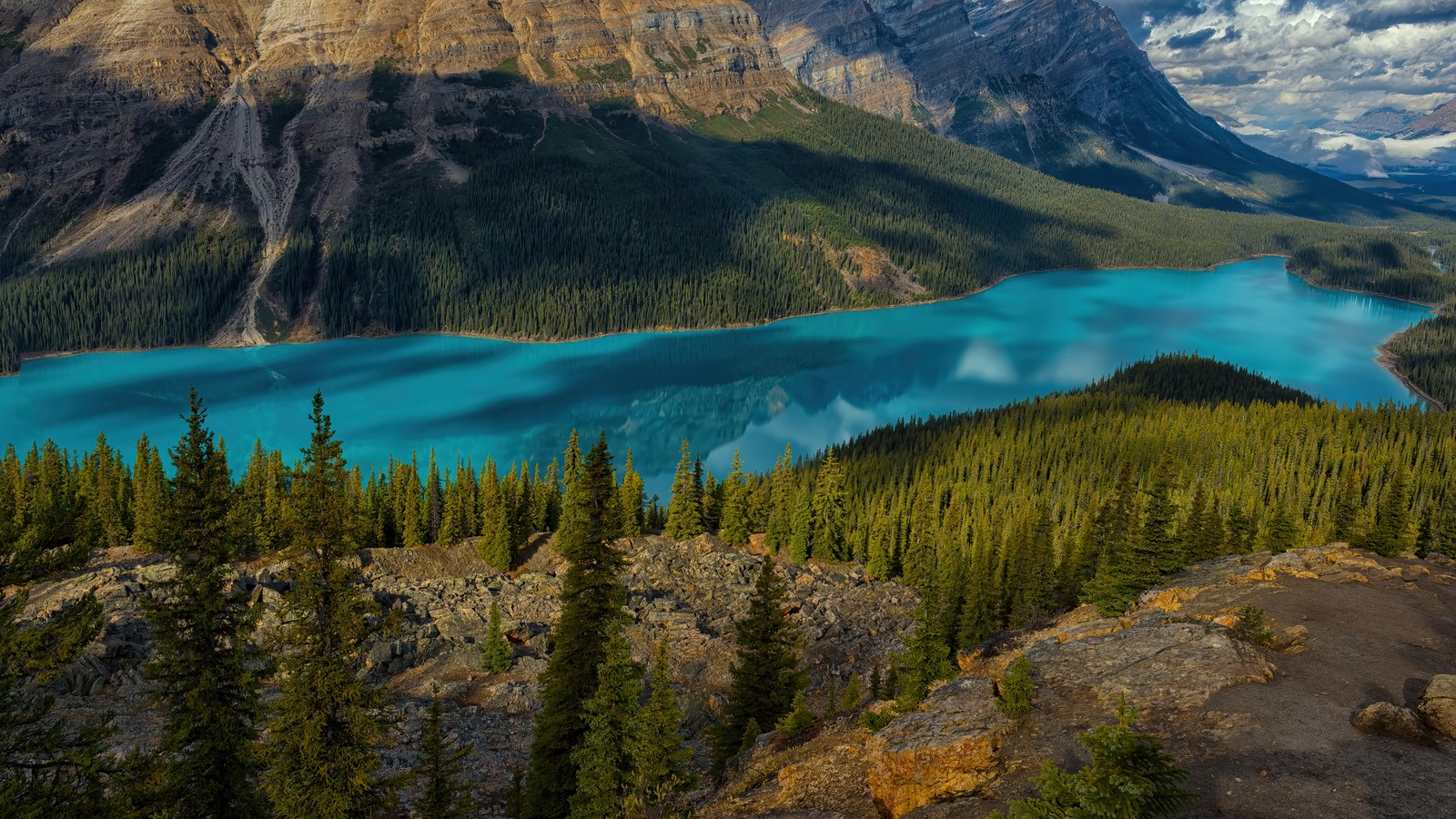 forest, lake, reflection, nature, scenery wallpaper