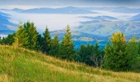 Paisaje montañoso sereno con vegetación exuberante y valles brumosos