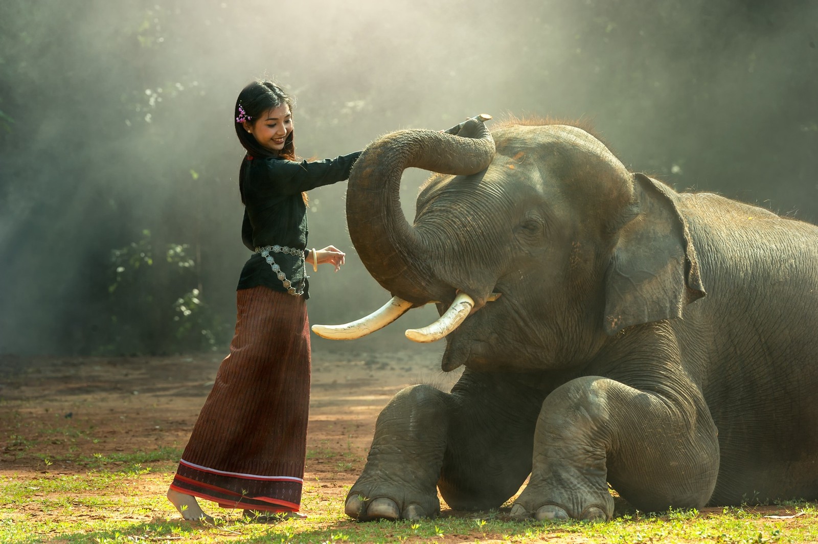 Há uma mulher em pé ao lado de um elefante na grama (elefante, elefantes e mamutes, elefante indiano, animal terrestre, fauna)