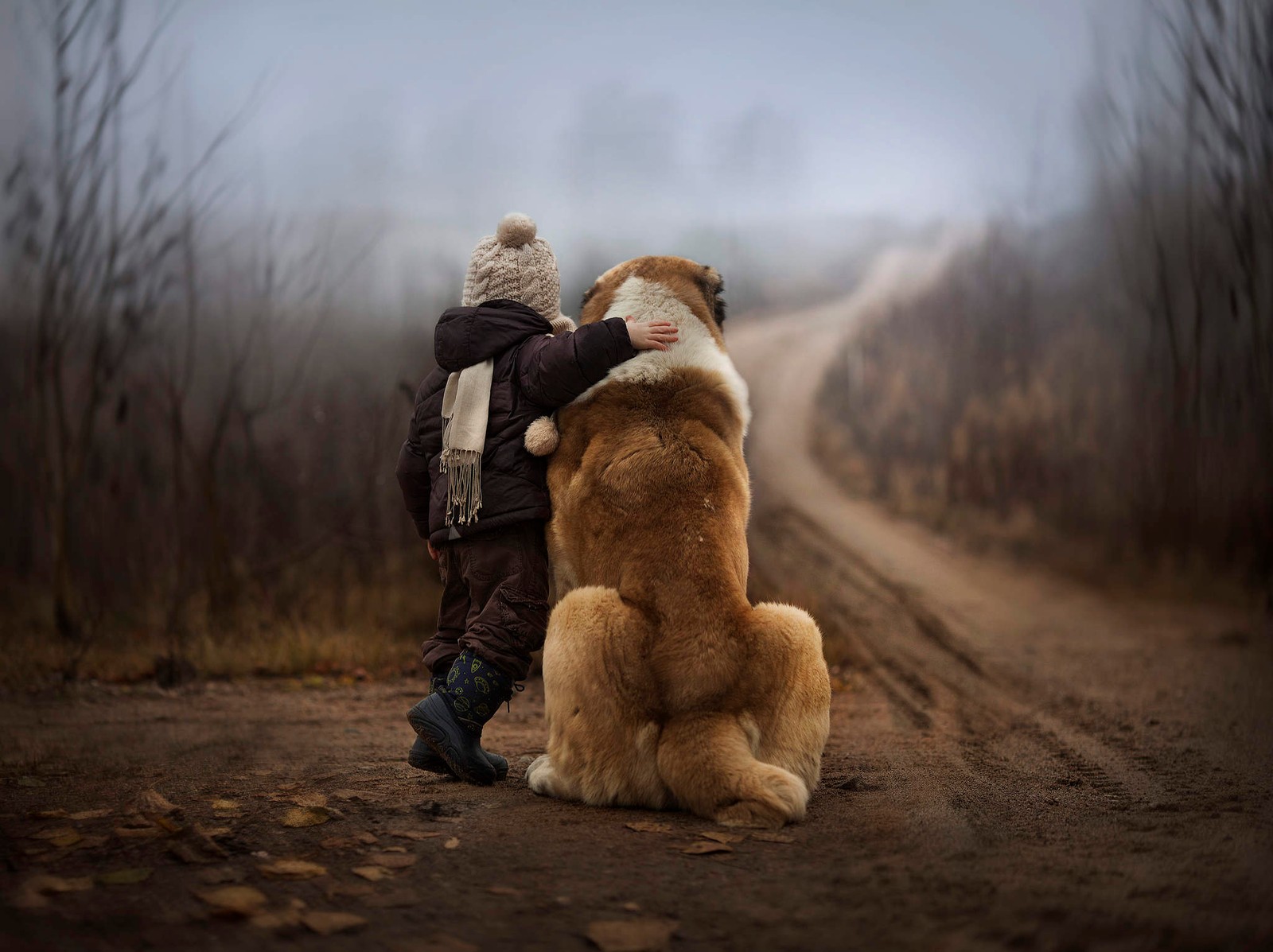 There is a boy hugging a dog on a dirt road (dog, snout, fur, dog like mammal, purebred dogs)