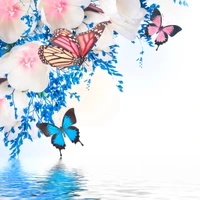 hermoso, mariposas, colorido, florales, flores