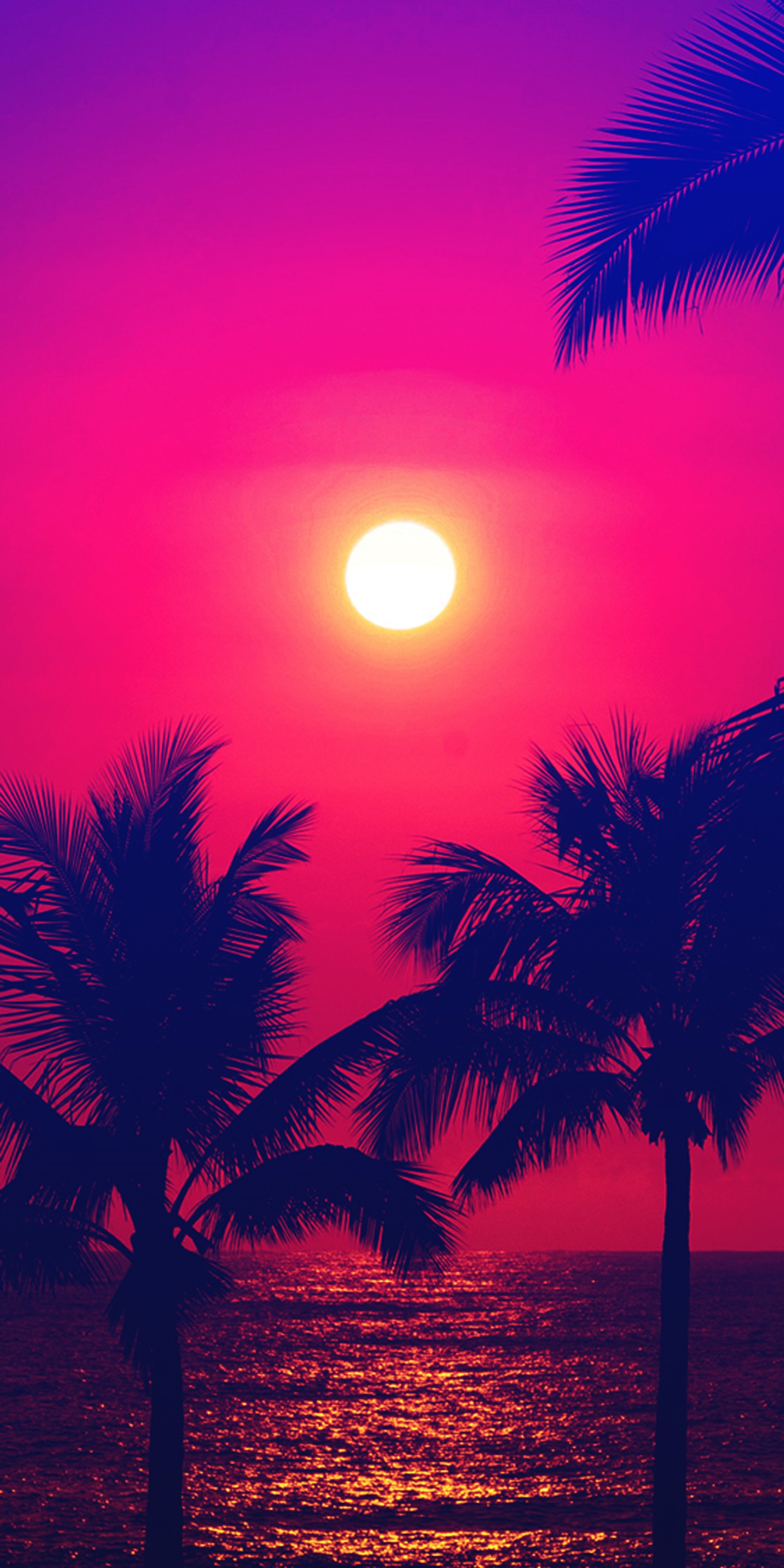 Arafed view of a sunset with palm trees and the ocean (beach, palms, red, summer, sun)