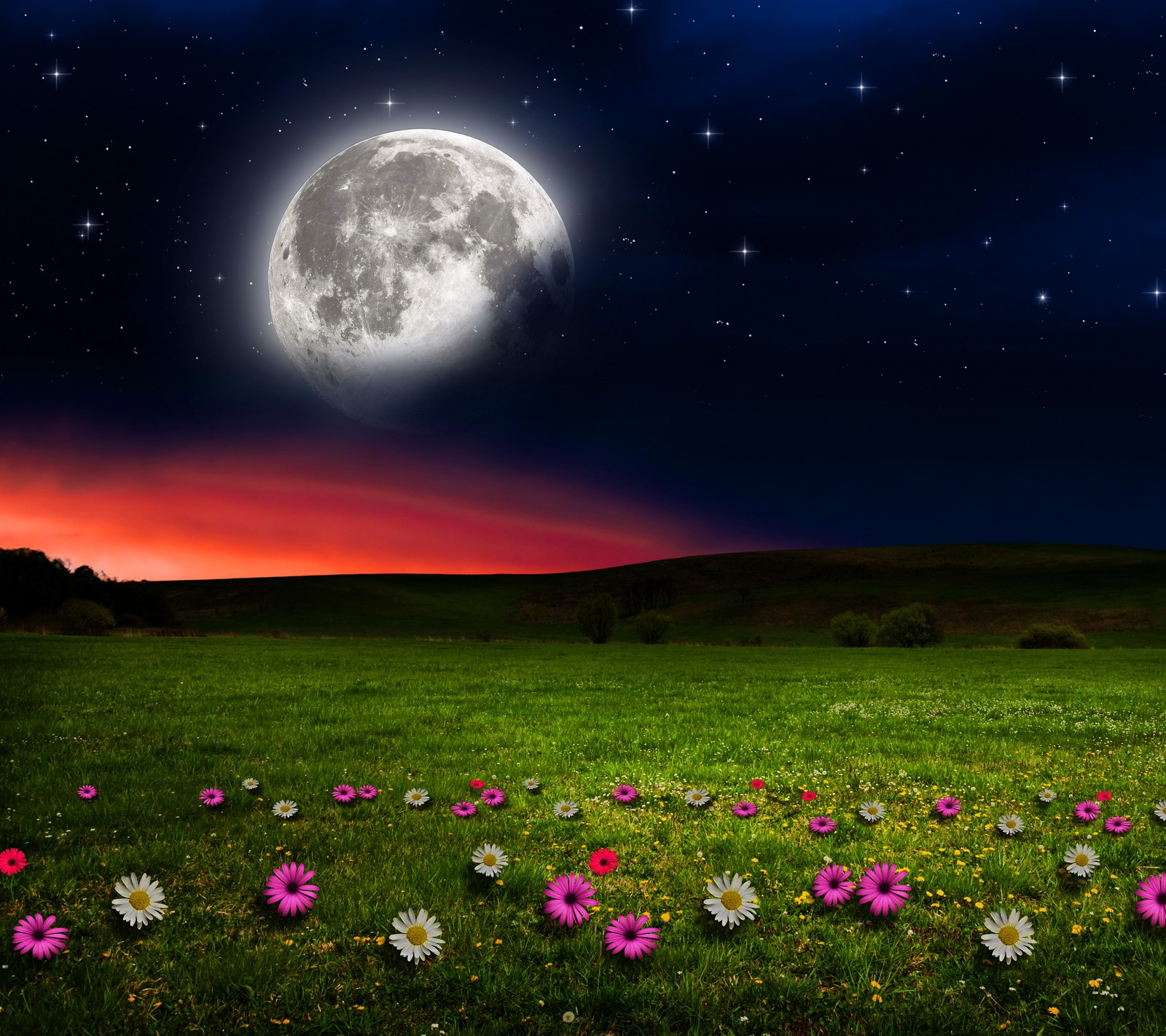 A close up of a field with flowers and a full moon (abstract, landscape, love, nature, view)