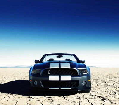 auto, bleu, voiture, ford, mustang