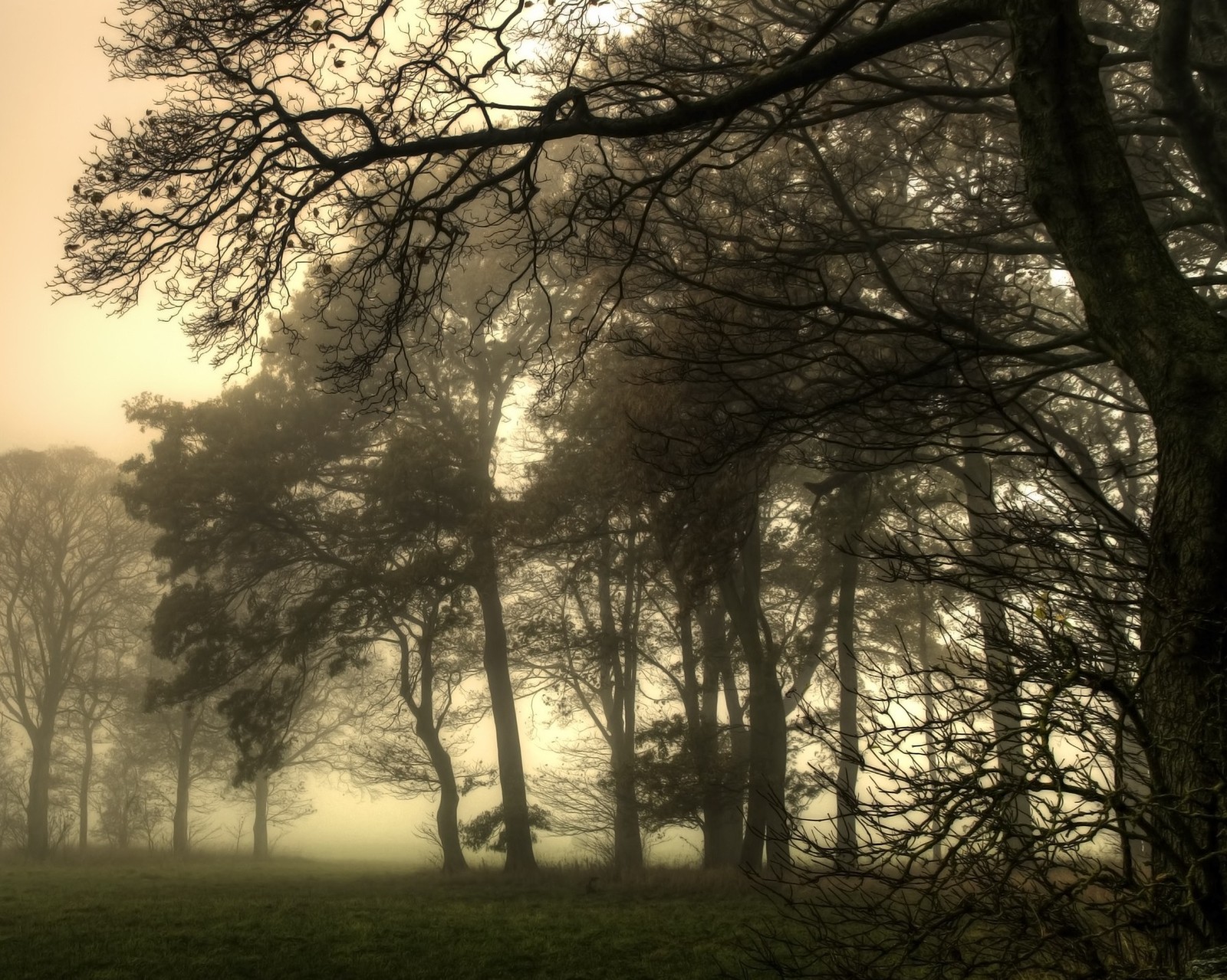 Descargar fondo de pantalla paisaje, naturaleza