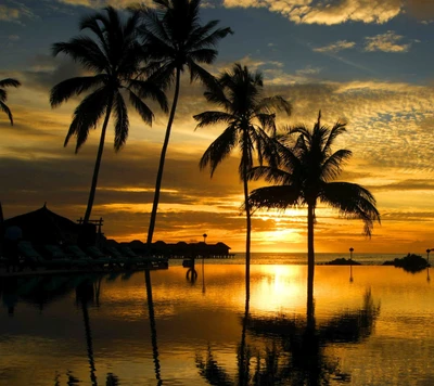 atardecer, tropical, playa tropical, tropical beach sunset