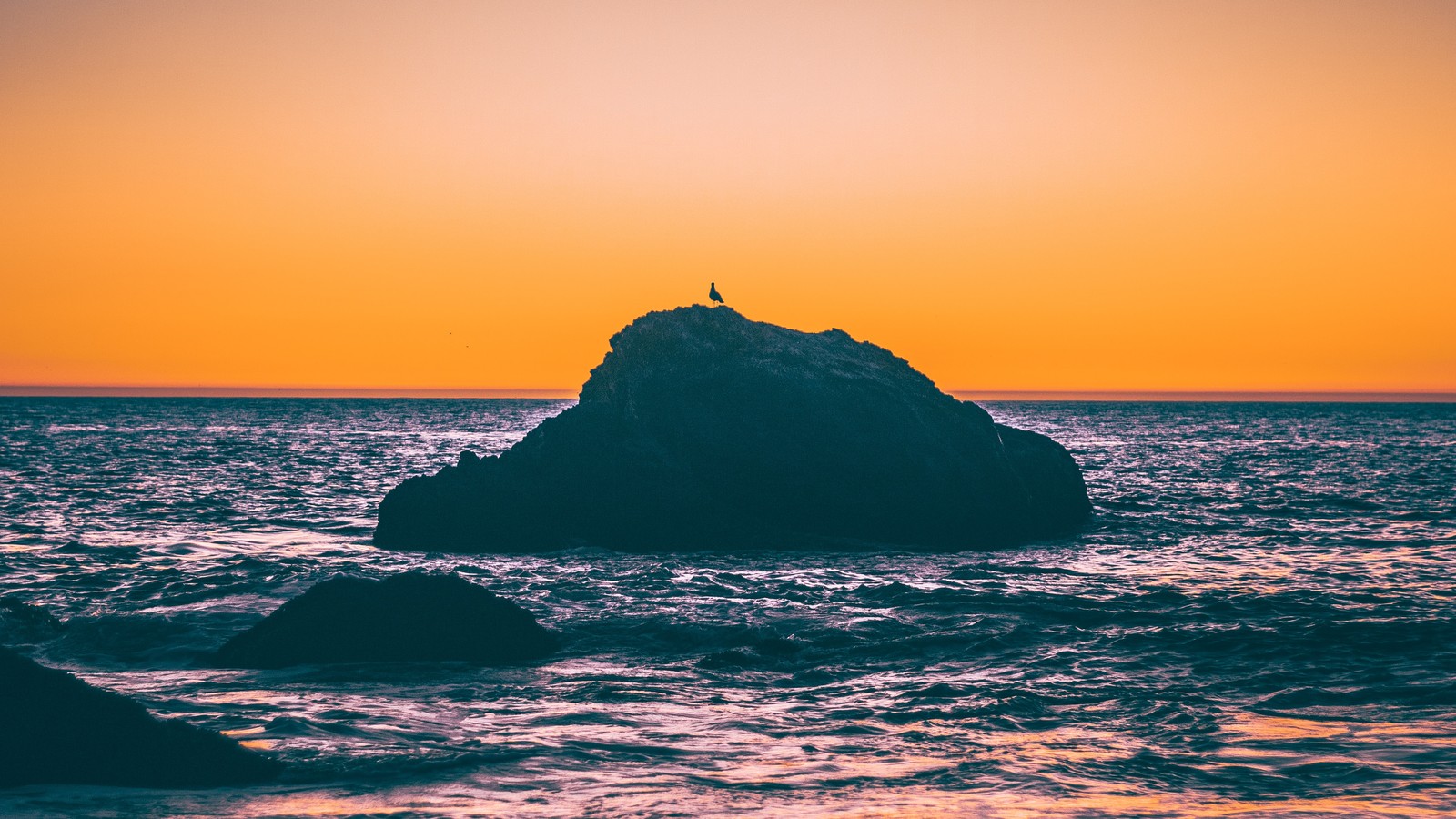 Un ave arafed sentada en una roca en medio del océano (atardecer, cuerpo de agua, mar, horizonte, océano)