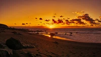 Golden Horizon: A Serene Sunset Over the Ocean Shore