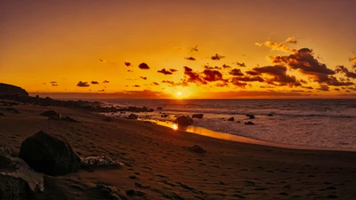 Horizon doré : un coucher de soleil serein sur le rivage de l'océan