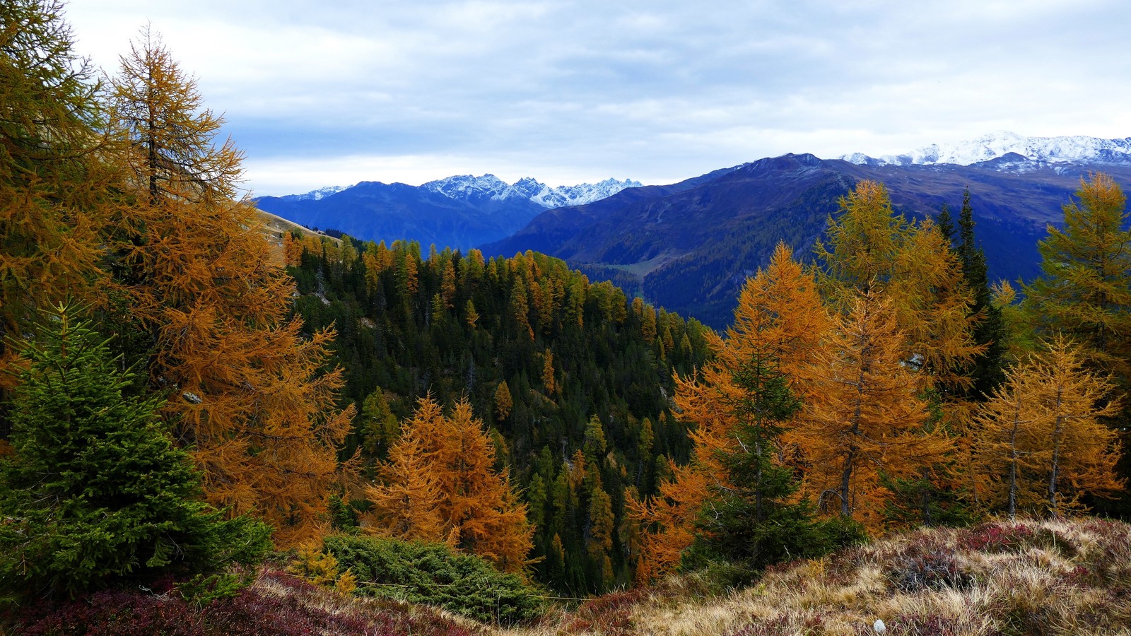 Vue d'une chaîne de montagnes avec quelques arbres et quelques montagnes enneigées (arbre, montagne, nature, sauvage, feuille)