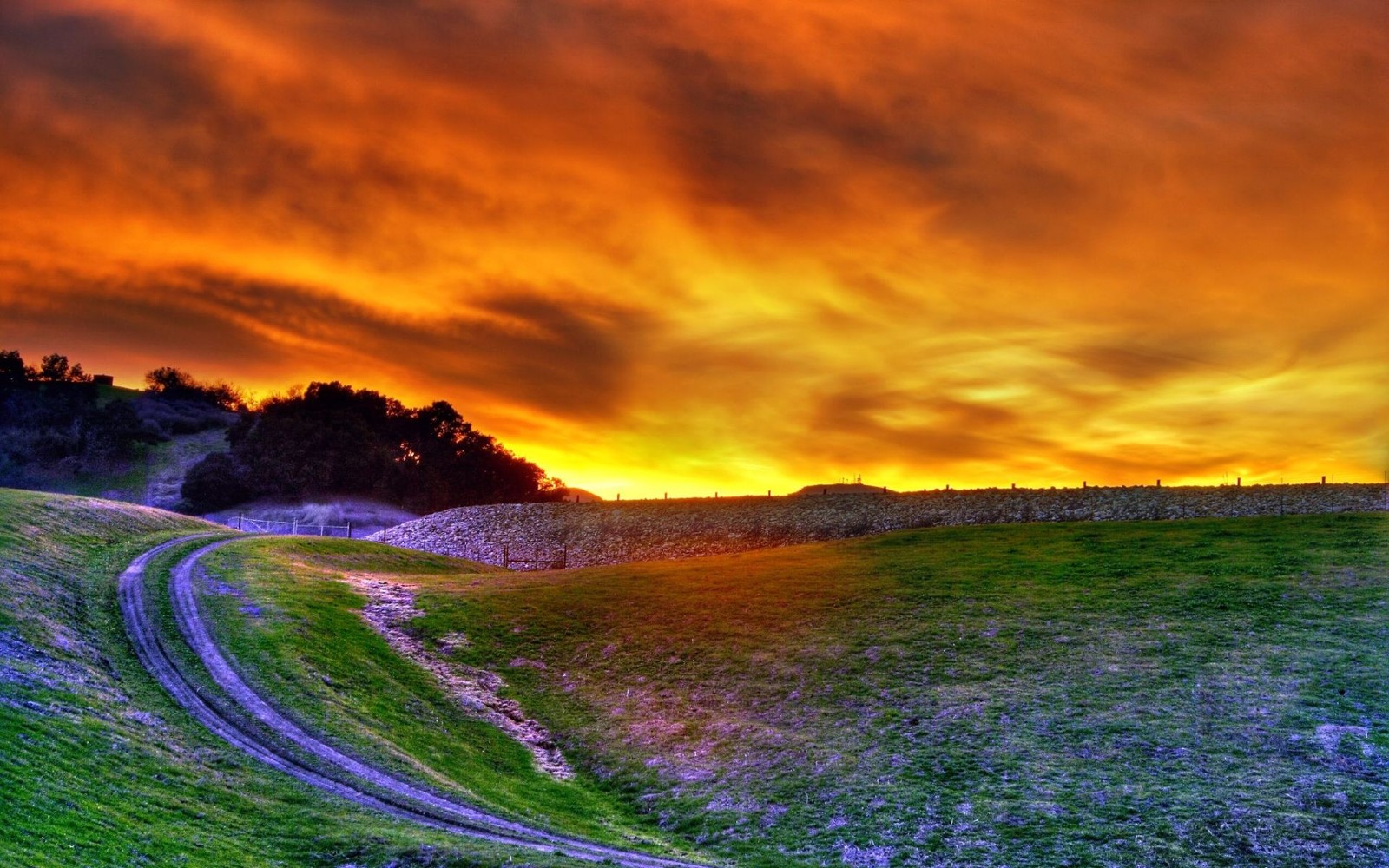 Coucher de soleil sur une colline herbeuse avec une route sinueuse au premier plan (nature, nuage, horizon, photographie de paysage, aube)