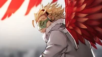 hawk, keigo takami, my hero academia, boku no hero academia, anime wallpaper