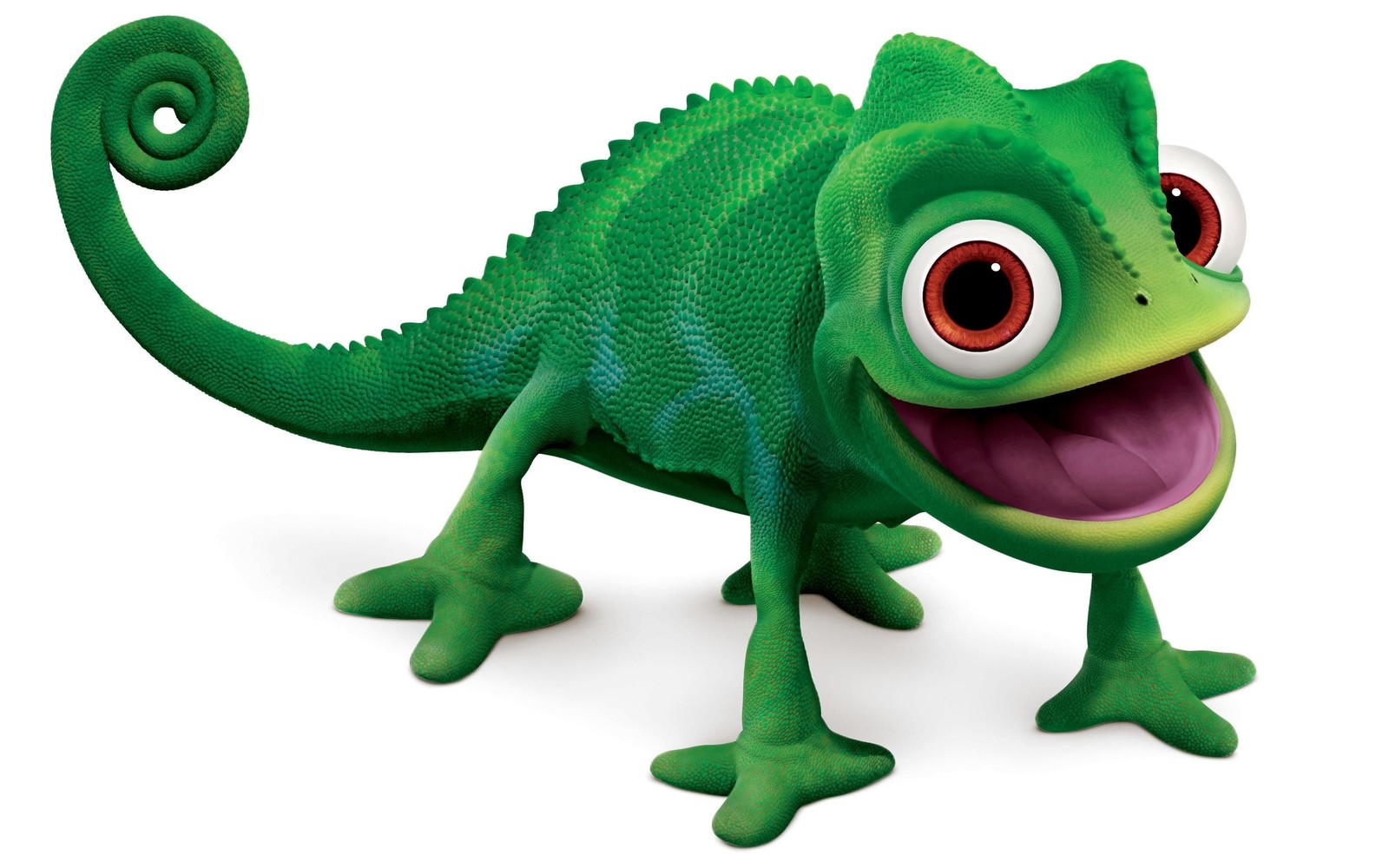 A green chamelon is smiling and standing on a white surface (lizard, chameleon, reptile, scaled reptile, terrestrial animal)