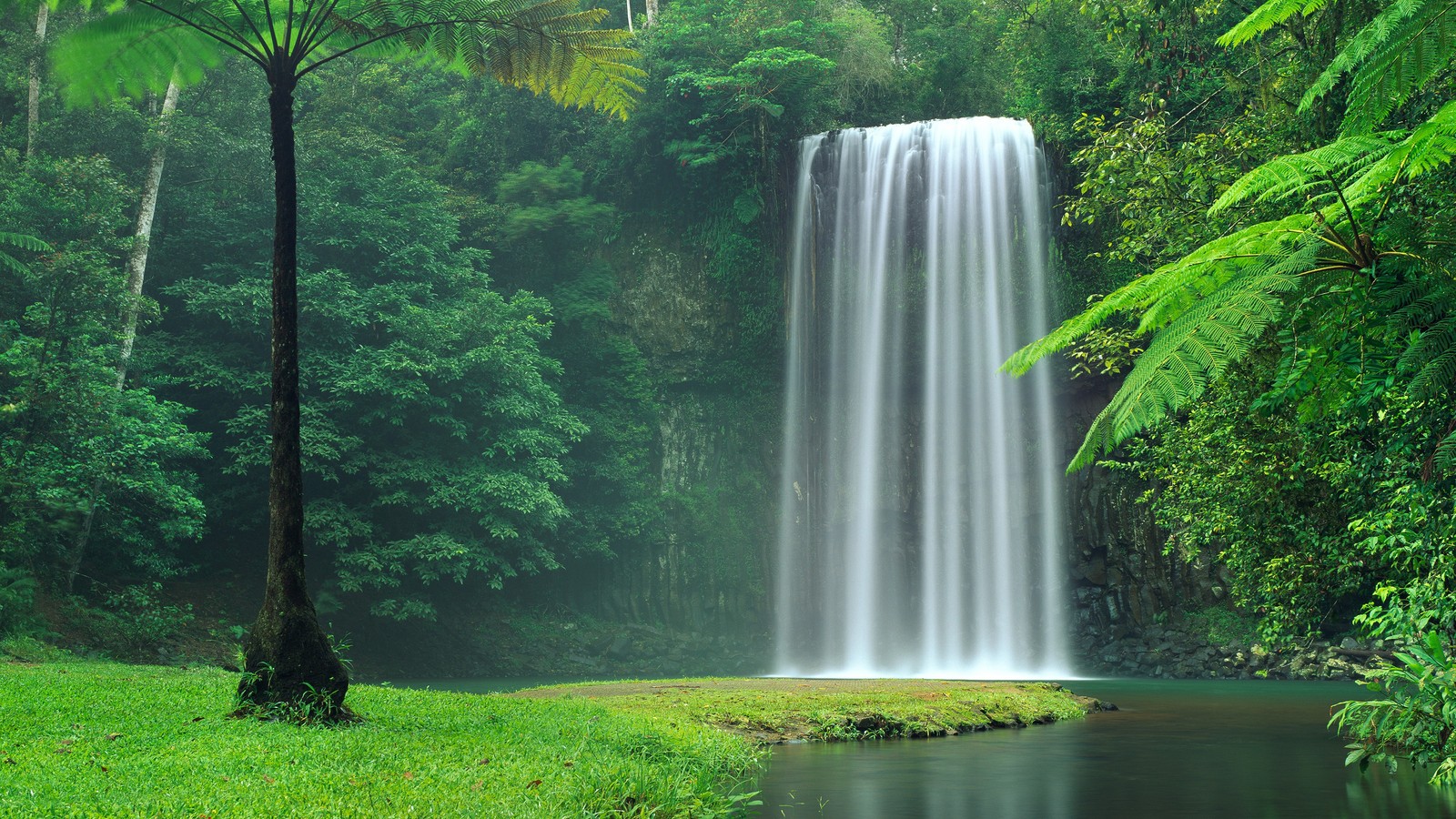 Uma grande cachoeira no meio de uma floresta verde exuberante (parque nacional dos lagos de plitvice, plitvice lakes national park, cachoeiras de yosemite, yosemite falls, cachoeira)