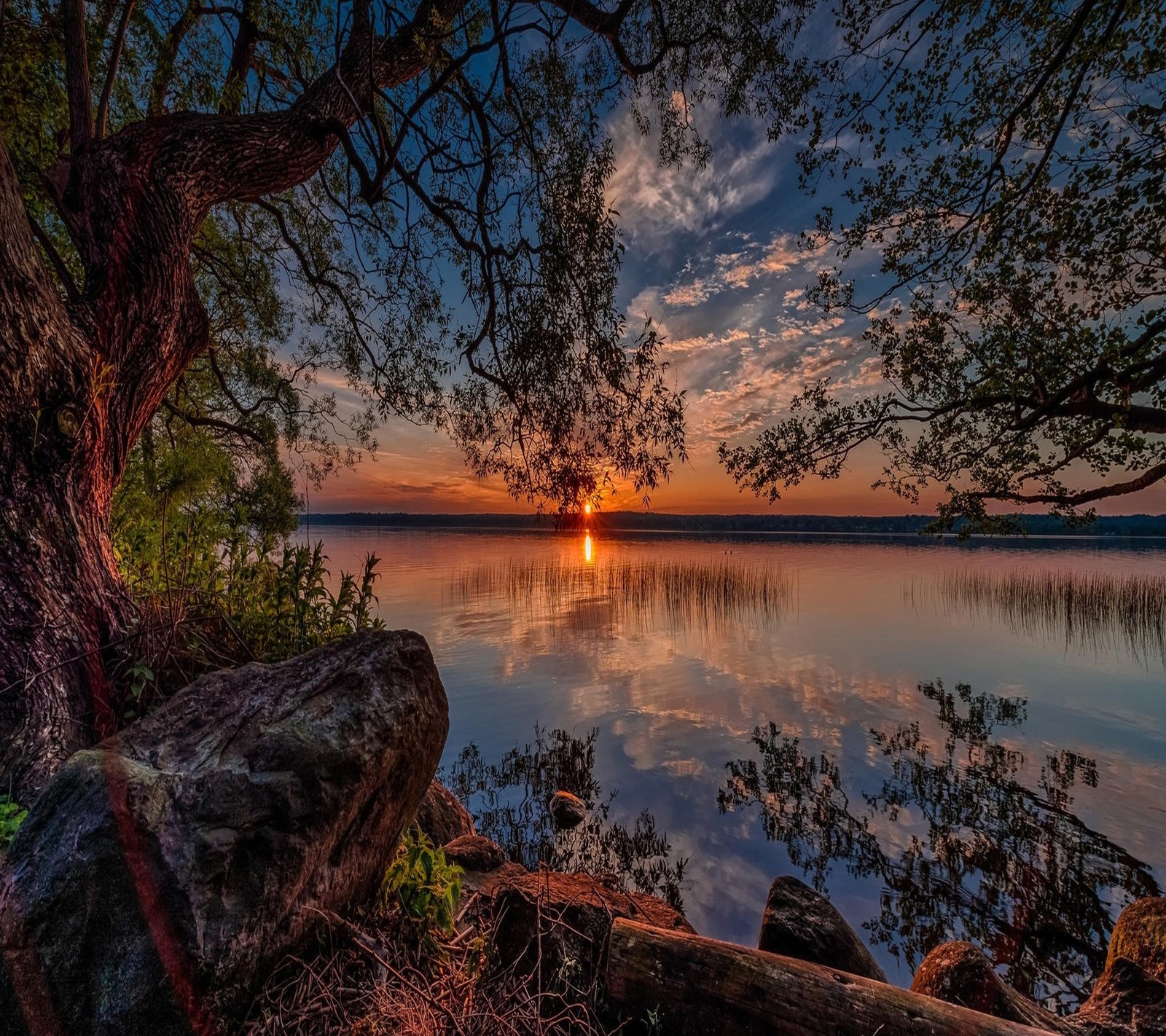 Une vue d'un lac avec un arbre et un coucher de soleil en arrière-plan (beau, coucher de soleil)