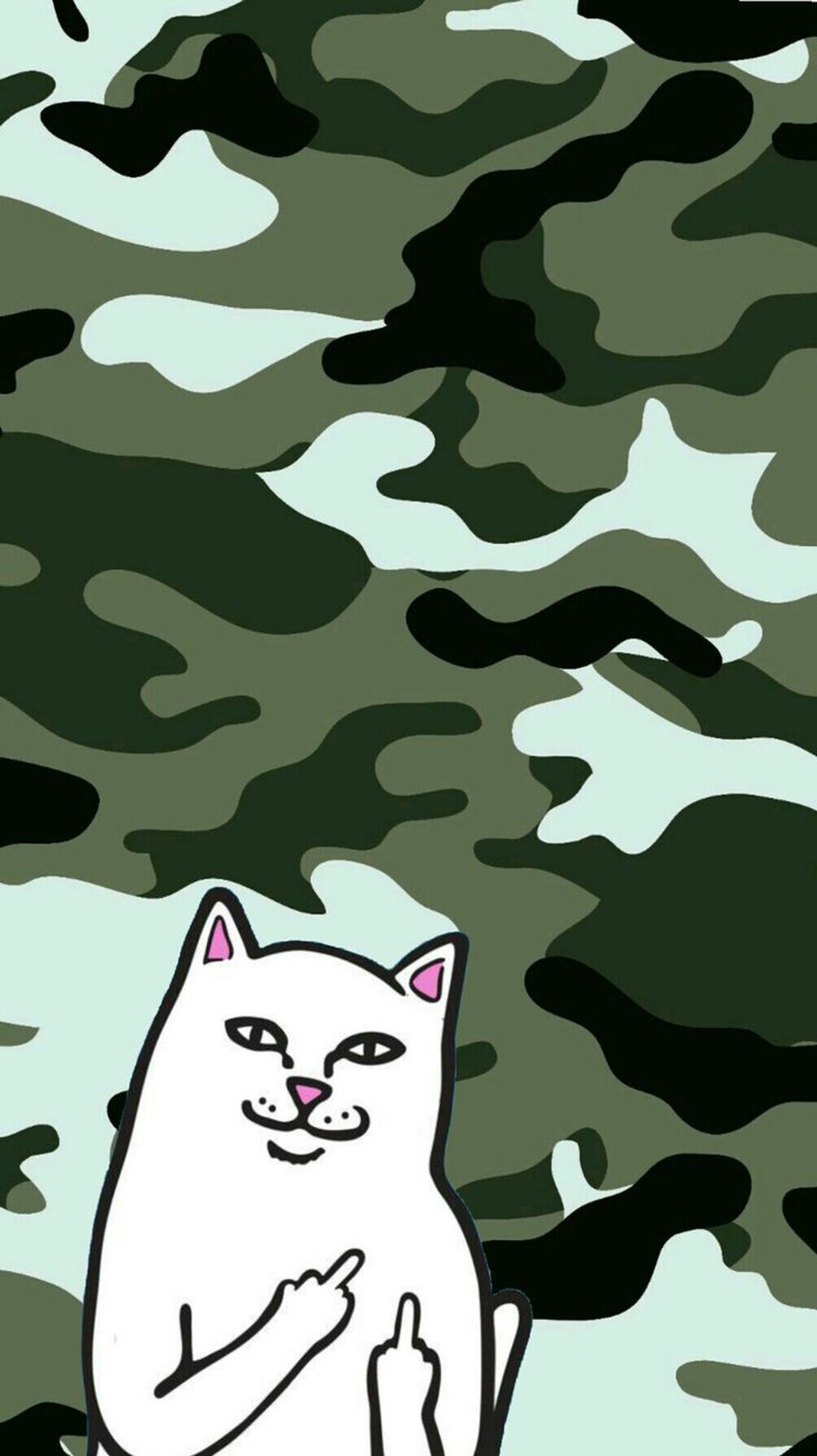 Tarnmuster-hintergrund mit einer weißen katze, die auf dem boden sitzt (getarnt, gato, ripndip katze, ripndip cat, hintergrundbild)