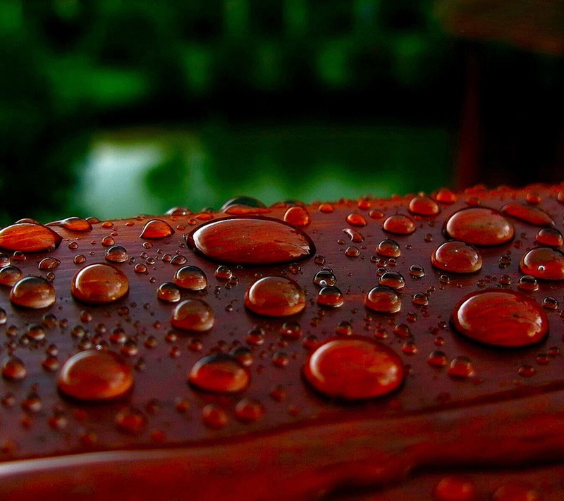 A close up of a wooden bench with water droplets on it (red, water)