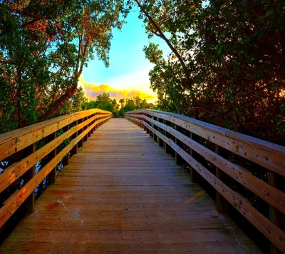 Ponte de madeira serena cercada por natureza exuberante ao pôr do sol