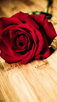 Elegant Red Rose on a Wooden Surface