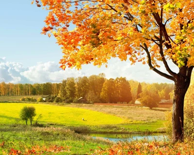 Autumn Serenity: Vibrant Leaves by the River at Sunrise