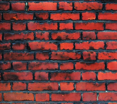 Pared de ladrillo rojo texturizado con un acabado brillante.